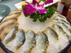 活海参-东海怡品海鲜豆捞(星街坊店)