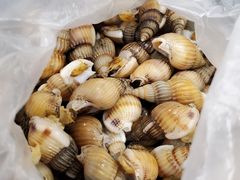 -金刚山(学府路店)