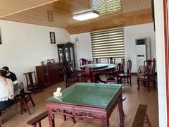 -南汇新场正宗水蜜桃采摘