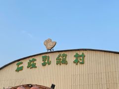 -石岐乳鸽村(桥观坊南四巷店)