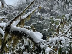 -西岭雪山大飞水景区