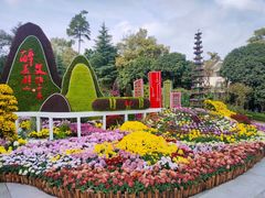 -南山植物园
