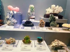 -湖南省地质博物馆