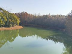 -上海海湾国家森林公园