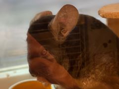 -龙猫仔乐园(惠福东路店)