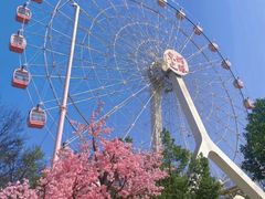 -东湖落雁景区