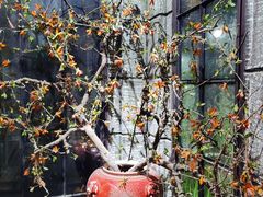 -范设计花园餐酒咖·中西餐·咖啡厅·酒馆