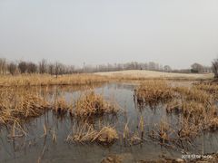 -东郊湿地公园