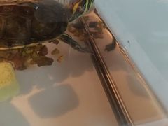 -悦宠动物医院(京丰分院)