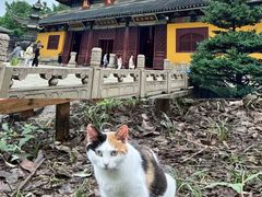 -西园戒幢律寺