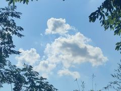 -广州神农草堂中医药博物馆