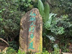 -深圳仙湖植物园