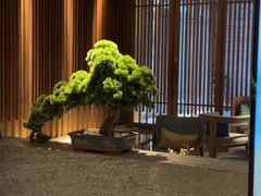 -浅深(北京北四环精品店)