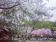 -浙江大学(玉泉校区)
