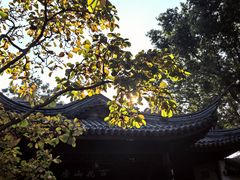 -无锡蠡湖国家湿地公园-蠡园
