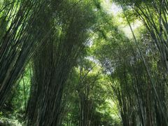 -凤栖山
