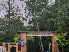-火炉山森林公园