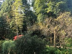 -成都杜甫草堂博物馆