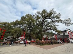 -新安江山水画廊风景区