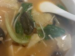 -南阳建业森林半岛假日酒店