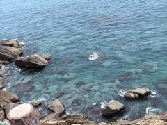 -广东惠东海龟国家级自然保护区
