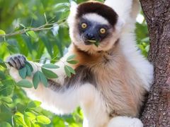 -飞奇儿体能体操馆(和平印象城店)