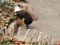 -南通洲际绿博园