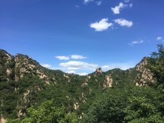 -大岭沟猕猴桃谷风景区