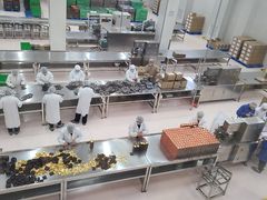 -歌斐颂巧克力小镇