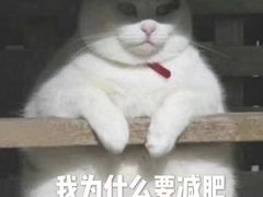 -宝珠奶酪(长宁金虹桥店)