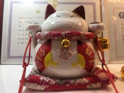 -晶奕空间专业脱毛连锁机构