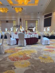 -天泰一站式婚宴·宴会厅