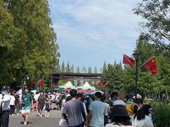 -黄海国家森林公园