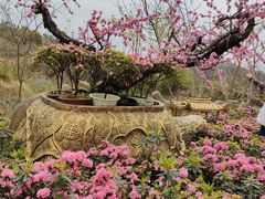 景点-木兰云雾山