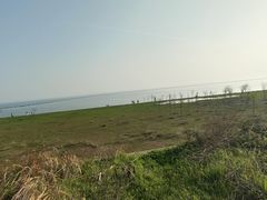 -合肥滨湖国家森林公园