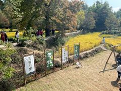 -塔川景区