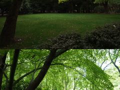 -上海共青森林公园