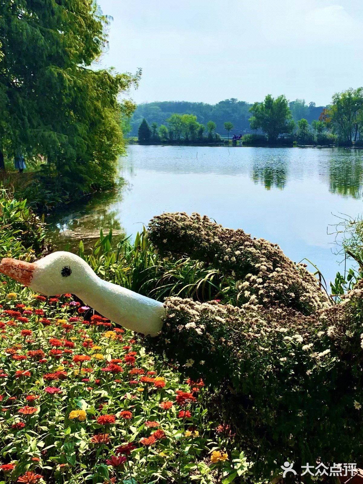 南京中山植物园🌳