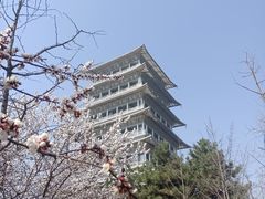-西安世博园