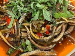 -飞虹鱼馆(春华路店)