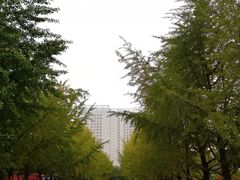 -辽宁大学(崇山校区)