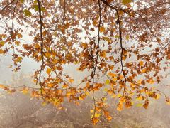 -秦岭终南山世界地质公园翠华山景区