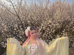 -香雪海