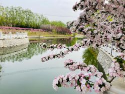 -大望京儿童游乐场