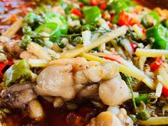 疯狂跳水蛙-呱呱叫民俗风味主题餐厅(沣峪口店)