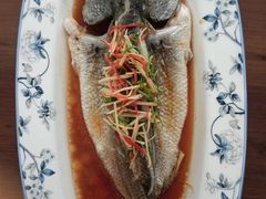 -葱妈母婴医护月嫂中心(浦东店)