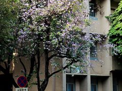 -广西大学(大学东路校区)
