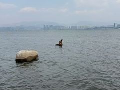 -洱海月湿地公园