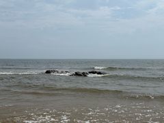 -日照海滨国家森林公园