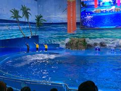 -多彩贵州城极地海洋世界